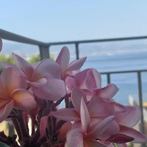  Appartamento Casa Cannoni - Delizioso Fronte Mare Vista Stretto Di Italia